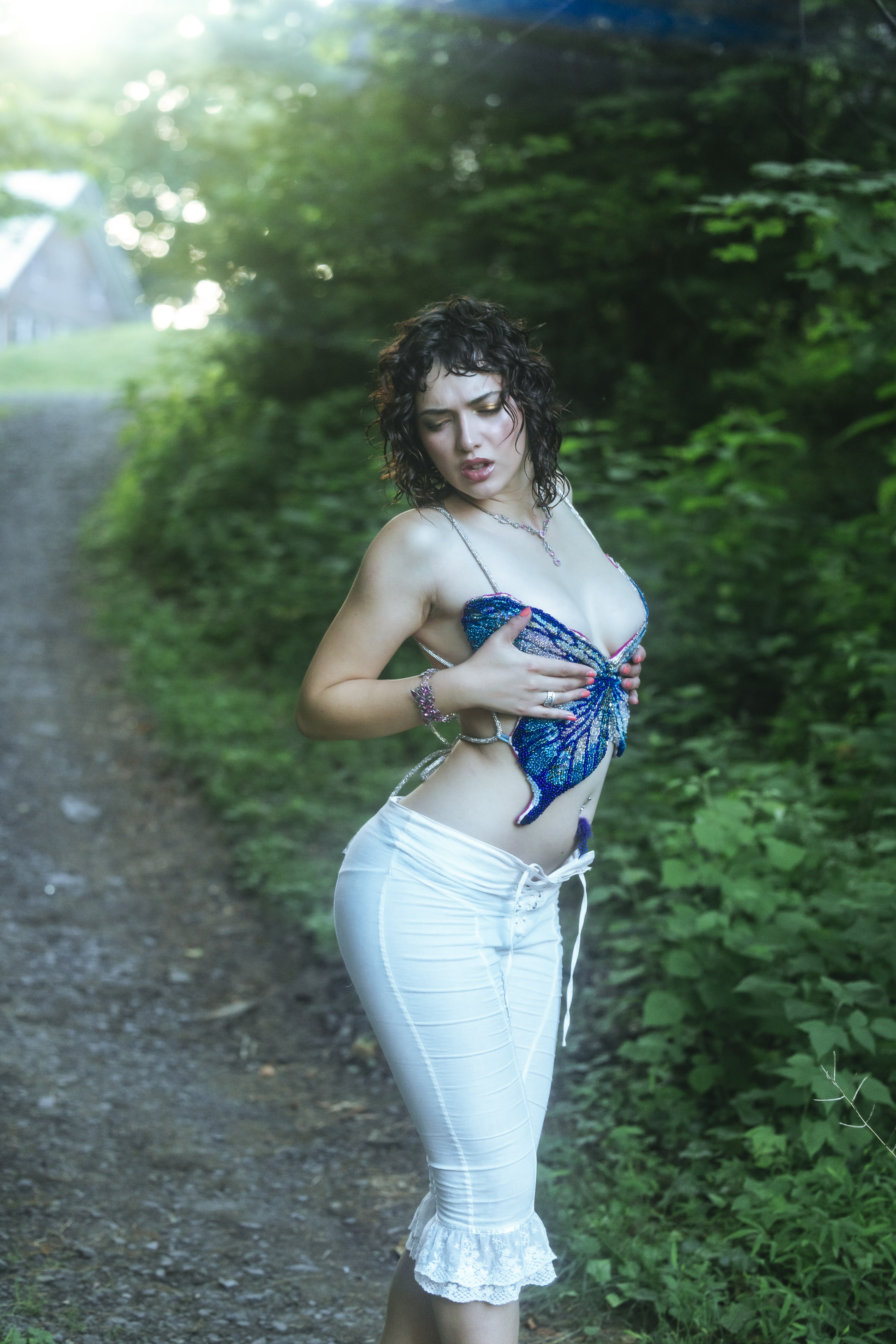 Metamorph — editorial