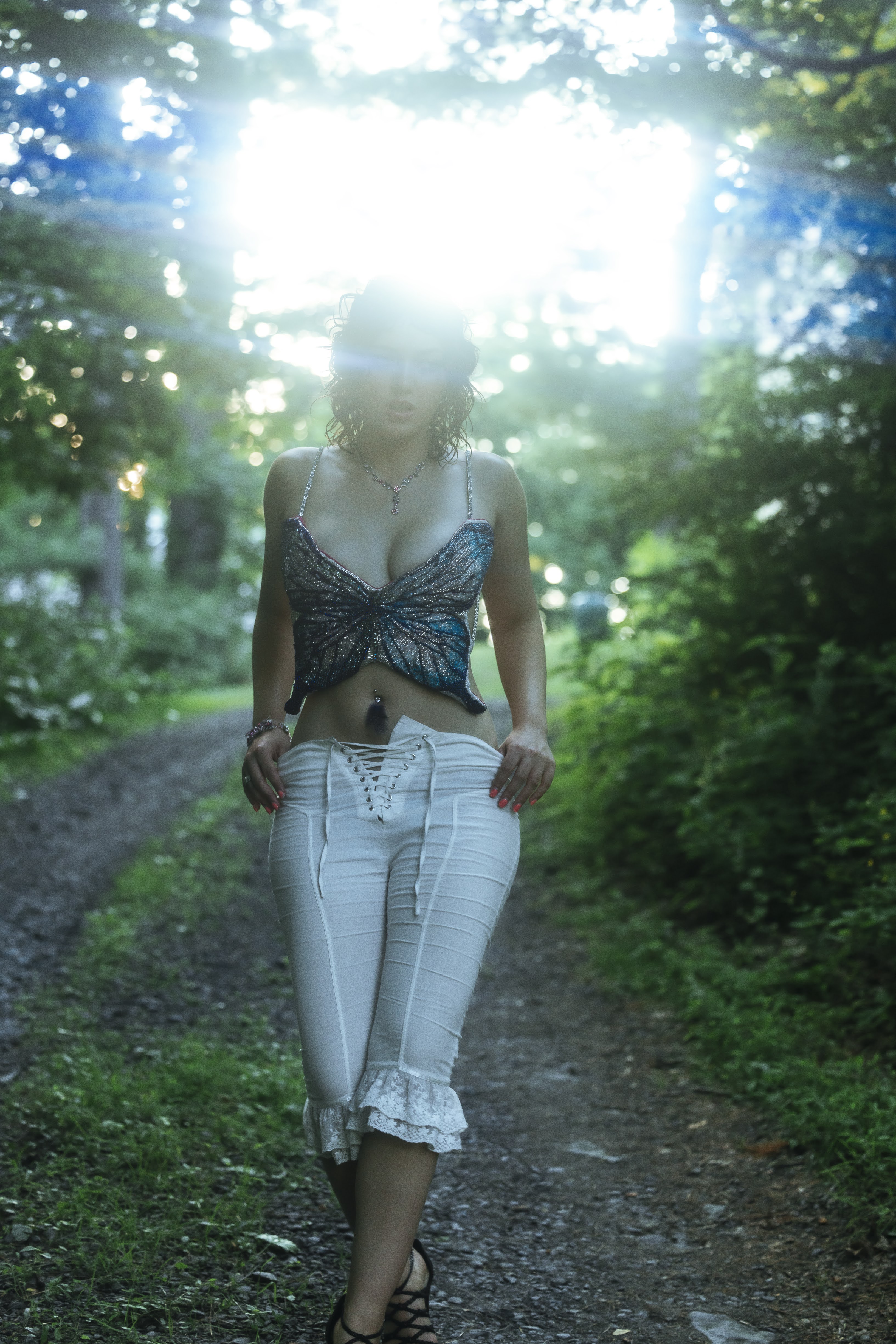 Metamorph — editorial
